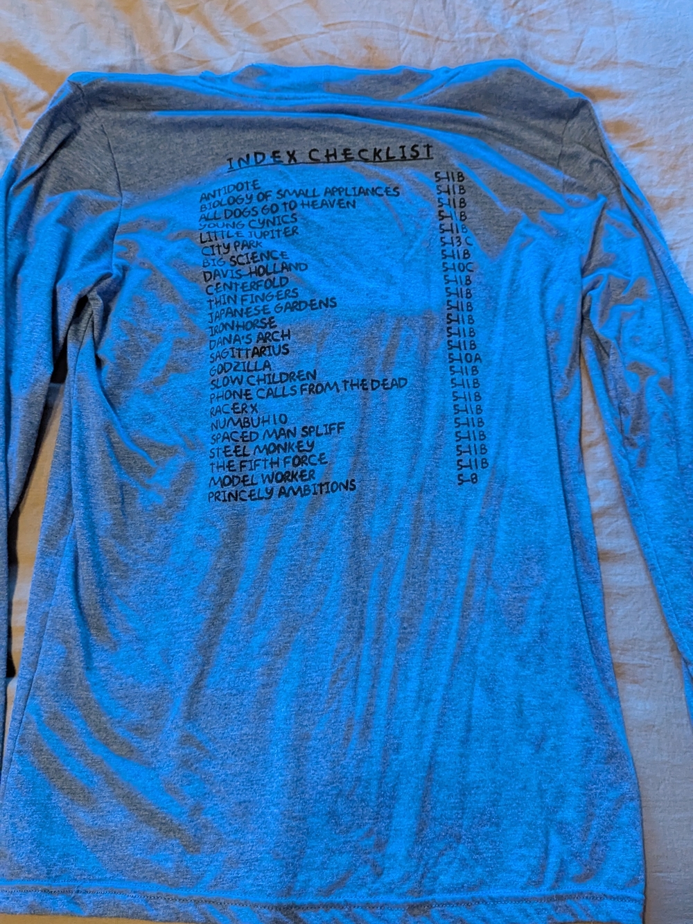 Anvil Blue Hooded Long-Sleeve with Mt. Index Graphic - Rock Climber - Picture 4 of 4